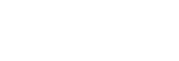 Wordpress Agency